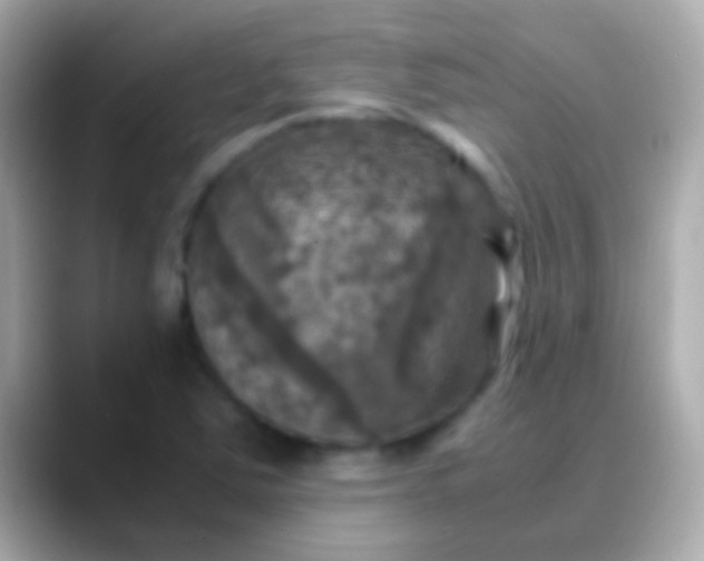 X0000088481363200706051353