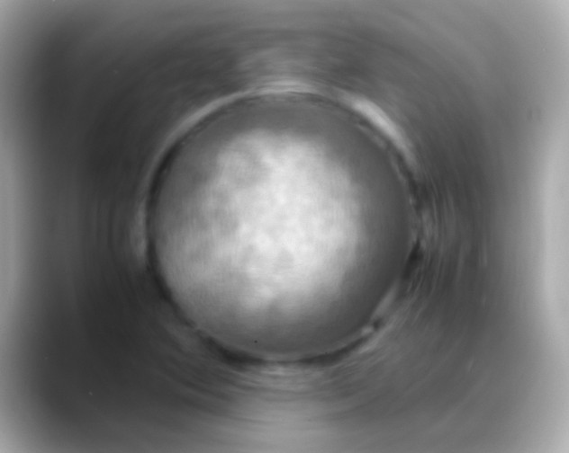 X0000088481364200706051353