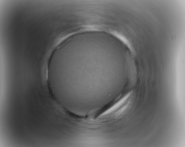 X0000088481365200706051353