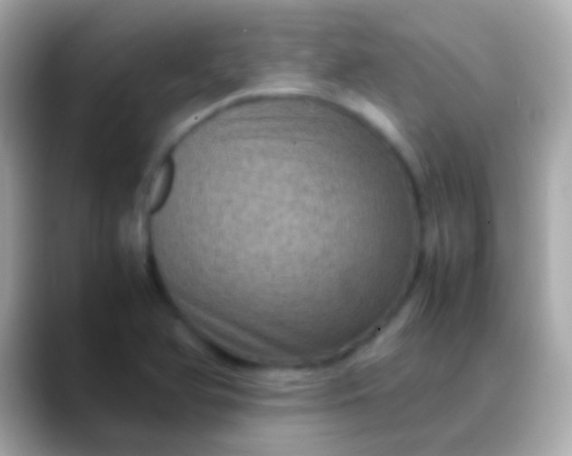 X0000088481366200706051353