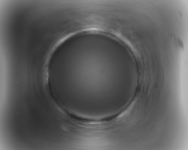 X0000088481367200706051353