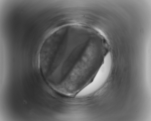 X0000088481371200706051353