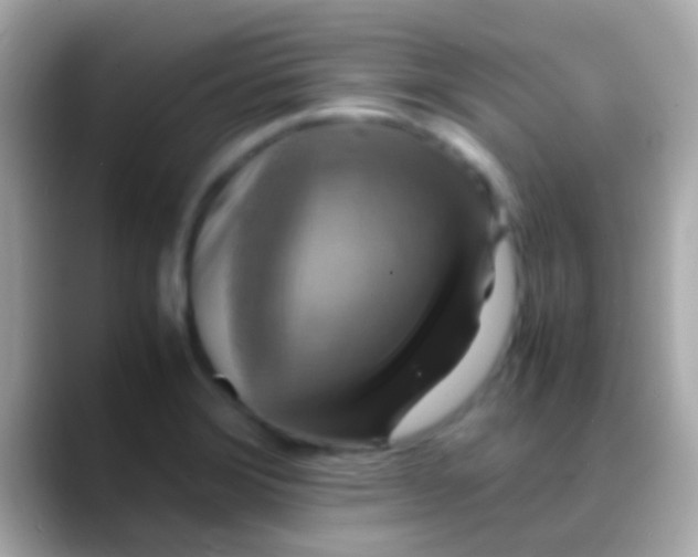 X0000088481372200706051353