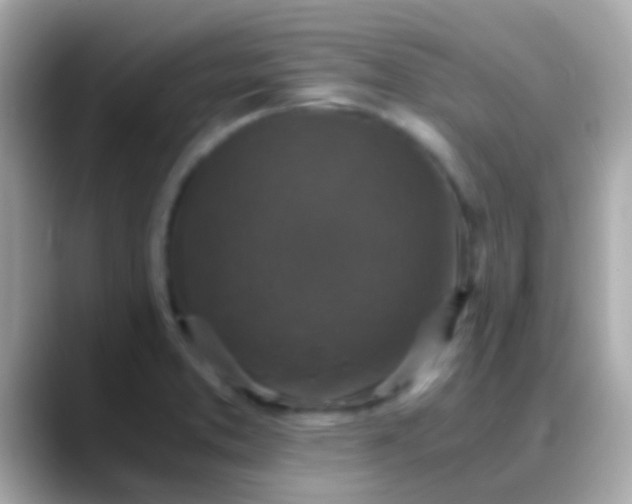 X0000088481373200706051353