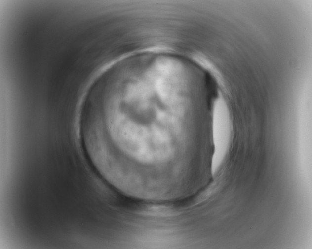 X0000088481375200706051353