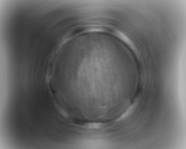 X0000088481377200706051353