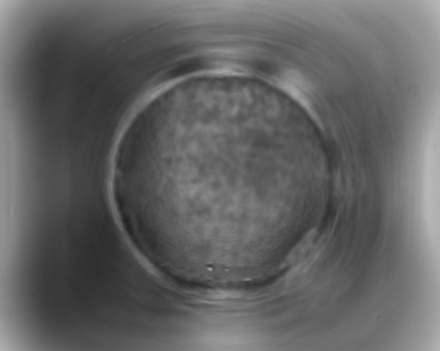 X0000088481379200706051353