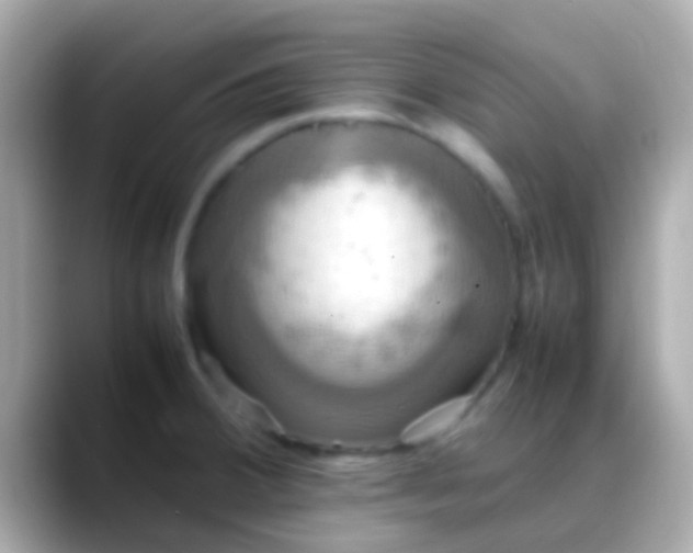 X0000088481380200706051353