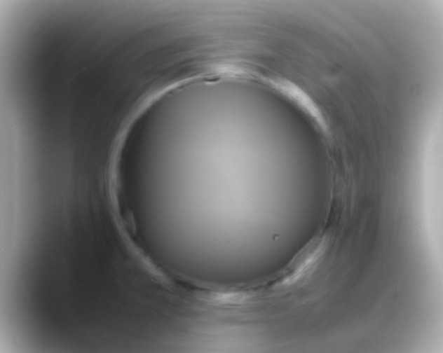 X0000088481381200706051353