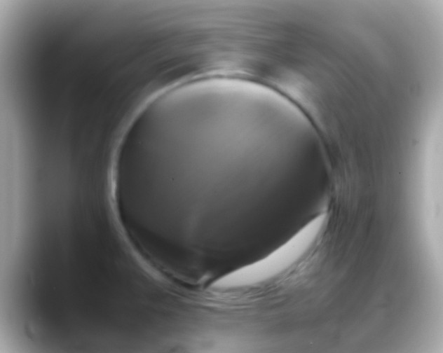 X0000088481383200706051352