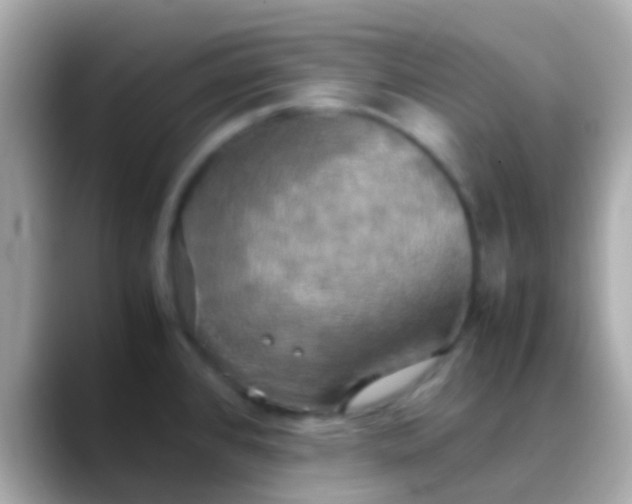 X0000088481384200706051352