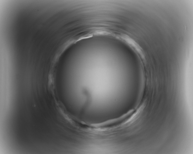 X0000088481385200706051352