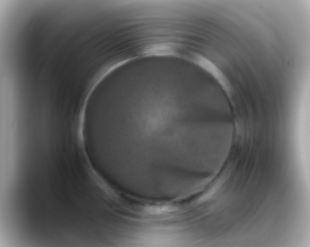 X0000088481386200706051352