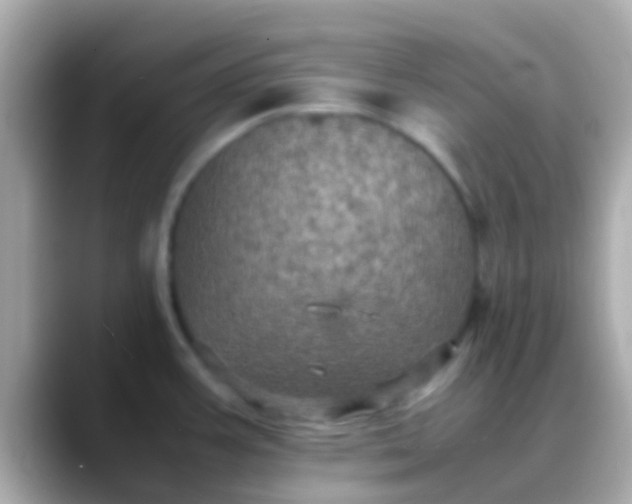 X0000088481387200706051352