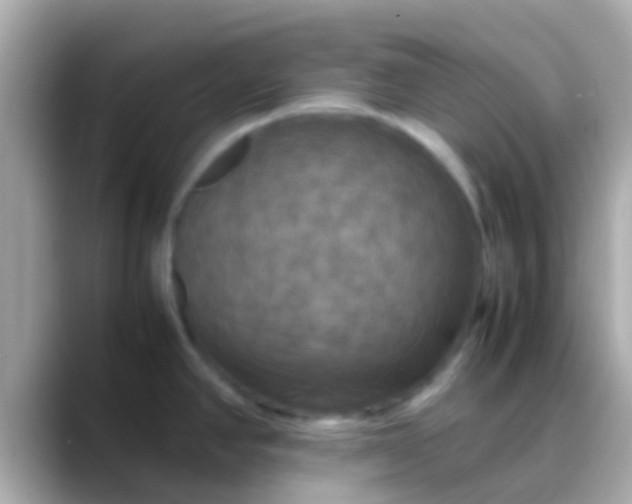 X0000088481390200706051352