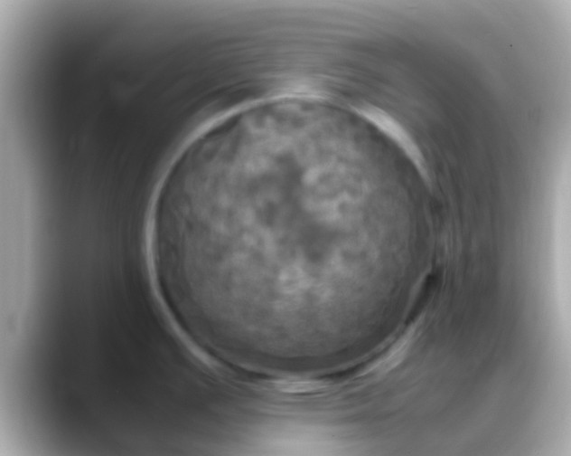 X0000088481391200706051352