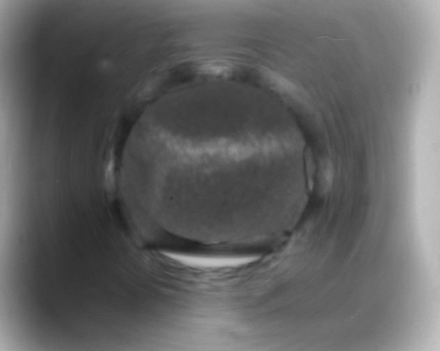 X0000088481394200706051352