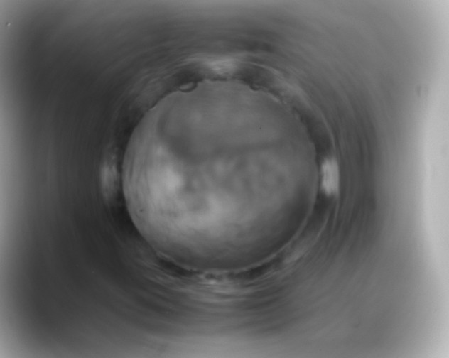X0000088481395200706051352