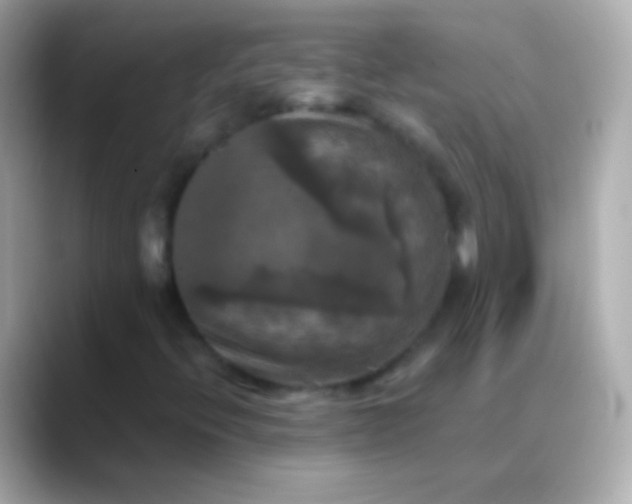 X0000088481396200706051352