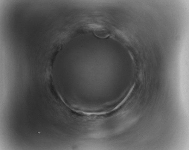 X0000088481397200706051352