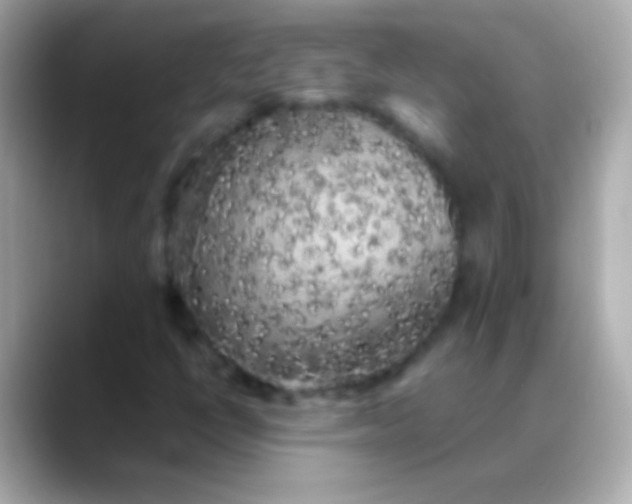 X0000088481398200706051352