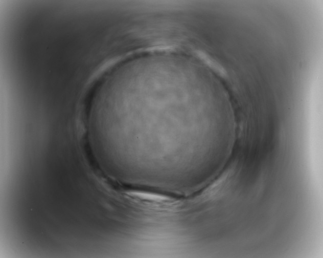 X0000088481400200706051352