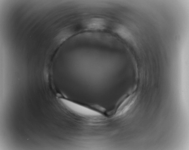 X0000088481401200706051352