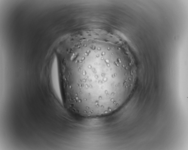 X0000088481402200706051352