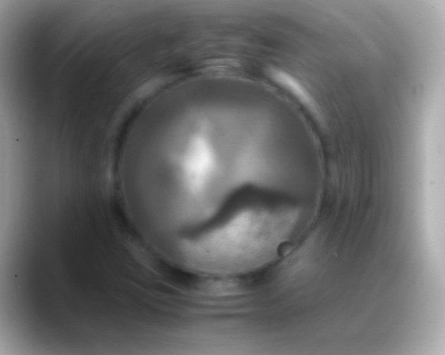 X0000088481403200706051352