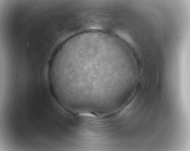 X0000088481404200706051352