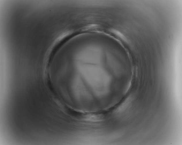 X0000088481405200706051352
