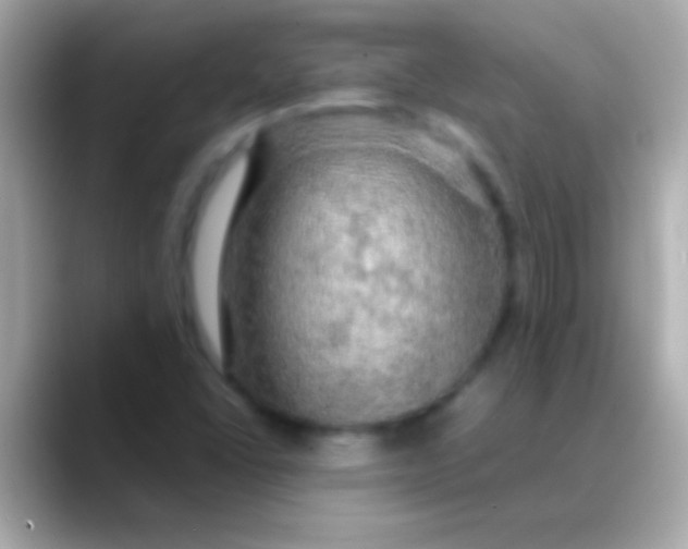 X0000088481406200706051352