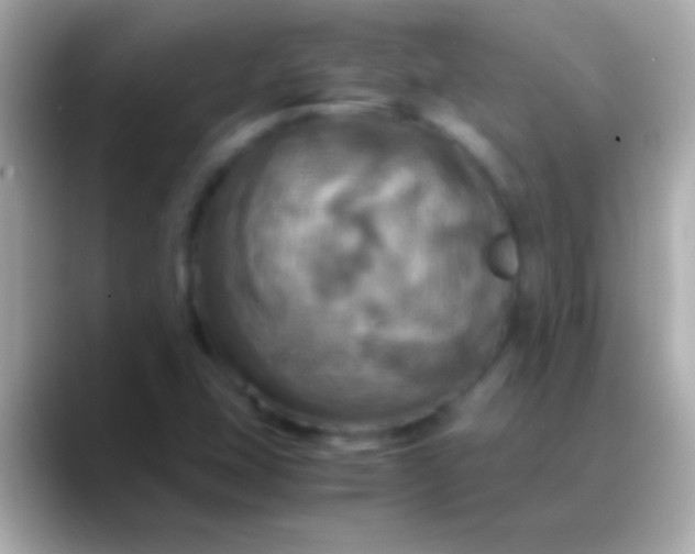 X0000088481407200706051352