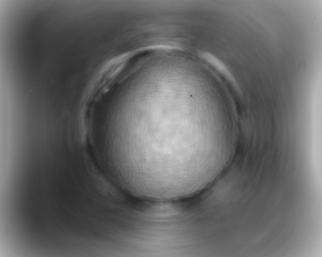 X0000088481408200706051352