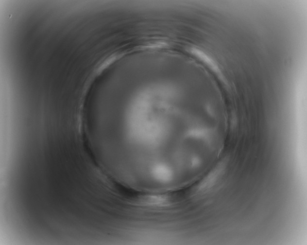 X0000088481409200706051352