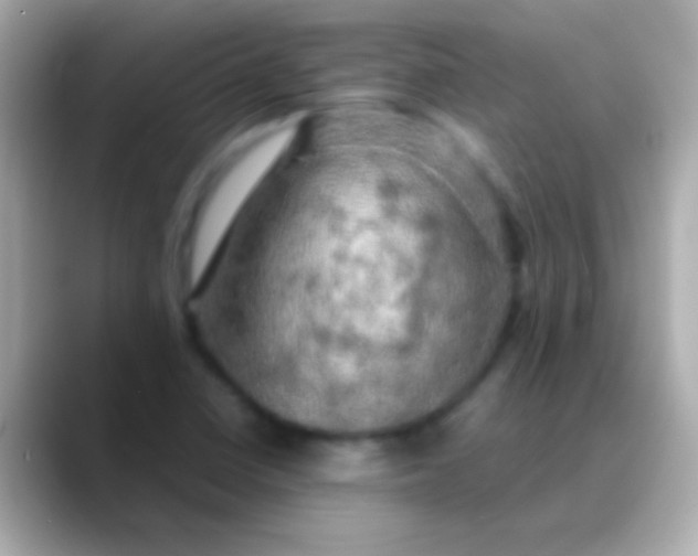 X0000088481410200706051352
