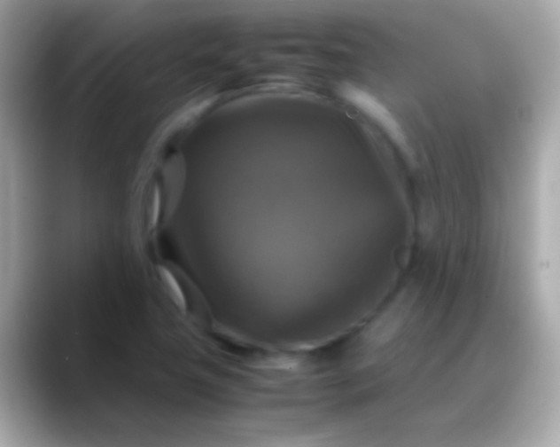 X0000088481411200706051352
