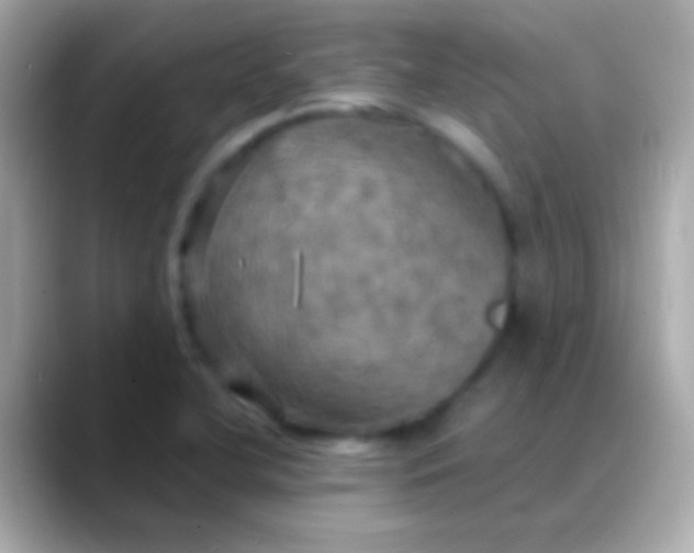 X0000088481412200706051352