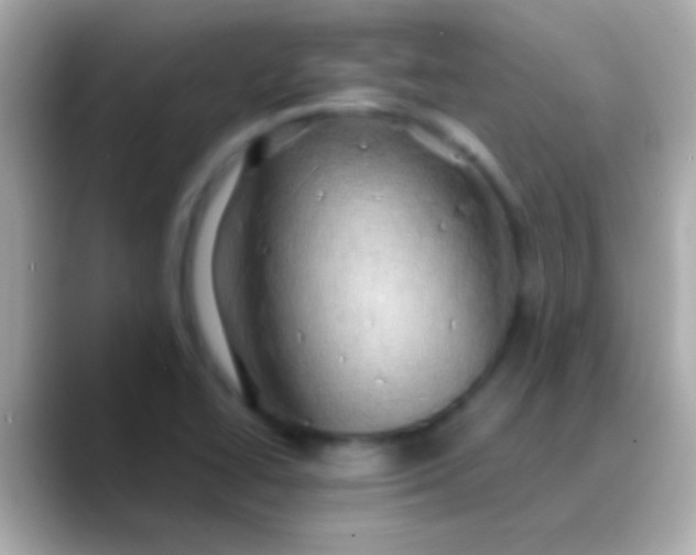 X0000088481414200706051352