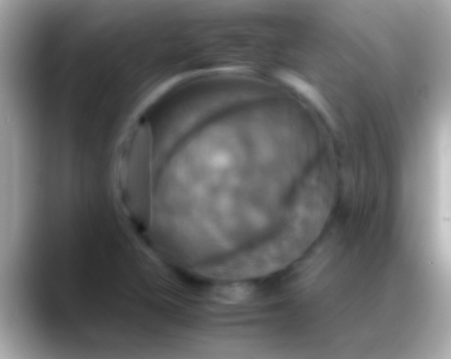 X0000088481415200706051352