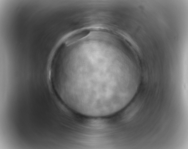 X0000088481416200706051352