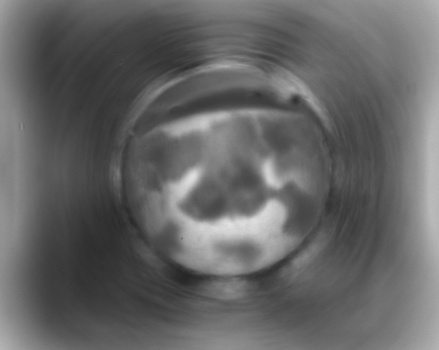 X0000088481417200706051352