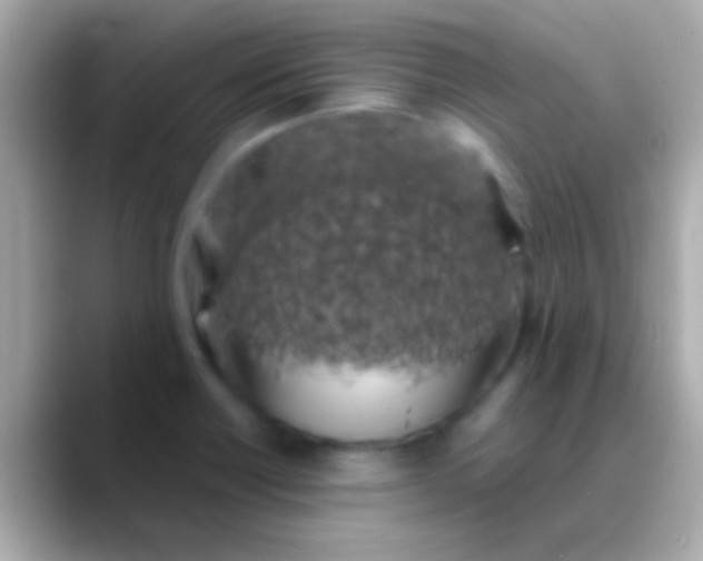 X0000088481418200706051352