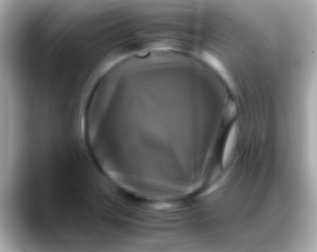 X0000088481419200706051352