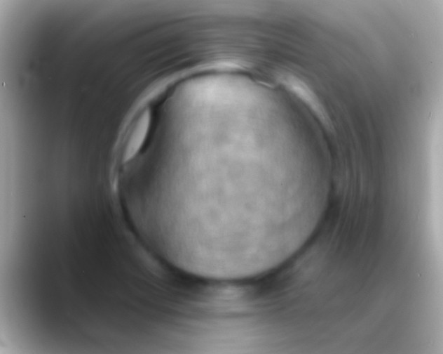 X0000088481420200706051352