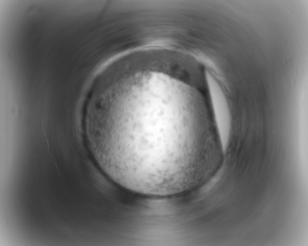 X0000088481422200706051352