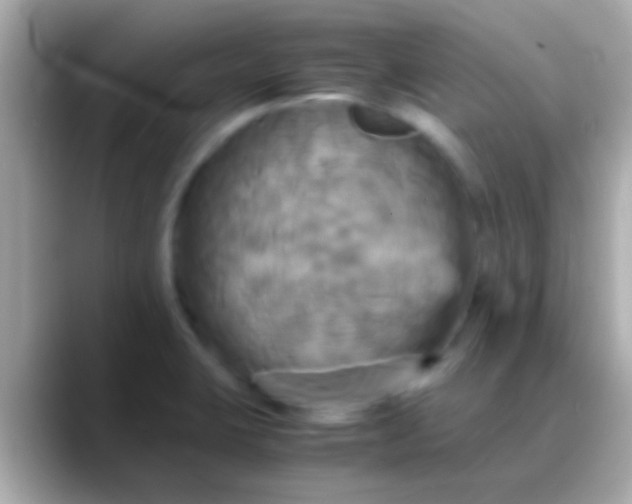 X0000088481423200706051352