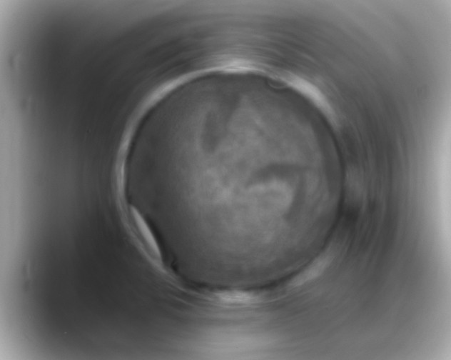X0000088481424200706051352