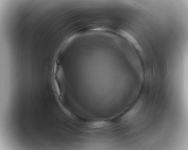 X0000088481425200706051352