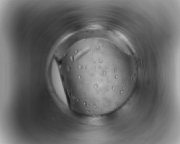 X0000088481426200706051352